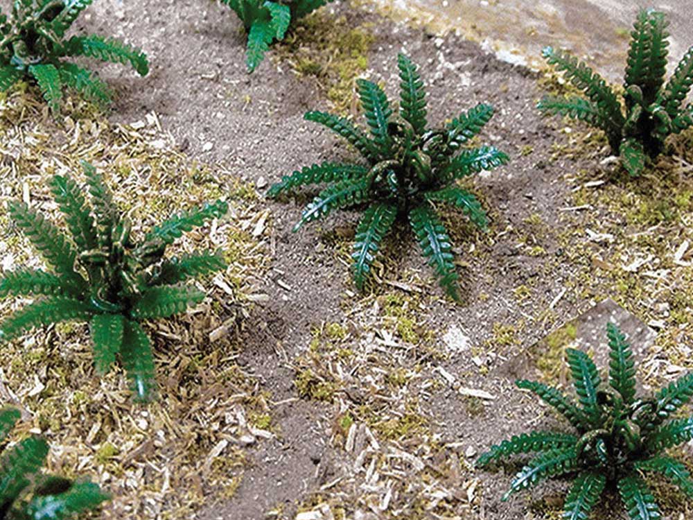 Image for 160-32511 Ferns 5/8"Wide 12/