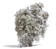 Image for 189-3585 Bush White Flowers