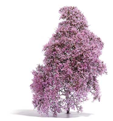 Image for 189-3587 Bush Purple Flowers