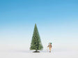 Image for 528-68036 Fir Tree  25 cm