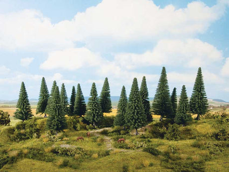 Image for 528-24640 Fir Trees  /8