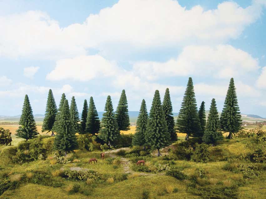 Image for 528-24641 Fir Trees  /16