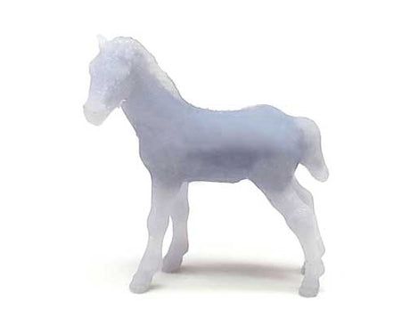 Image for 179-1601974 Foal