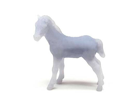 Image for 179-871974 Foal