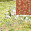 Image for 189-7357 Foam Flock Summer 200ml