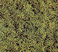 Image for 189-7311 Fm scatter fine Sprng Grn