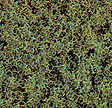Image for 189-7312 Foam scatter fine grn