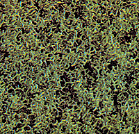 Image for 189-7312 Foam scatter fine grn