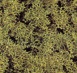 Image for 189-7317 Fm Scatter Coarse Lt Grn