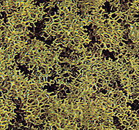 Image for 189-7317 Fm Scatter Coarse Lt Grn