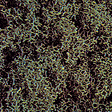 Image for 189-7319 Fm scatter course drk grn