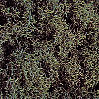 Image for 189-7319 Fm scatter course drk grn