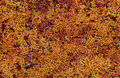 Woodland Scenics 56 Foliage - 90.7 Square Inches  585 Square cm -- Late Fall Colors A Scale