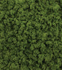 Image for 785-6461 All Game Lt Grn Foliag Cl