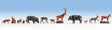 Image for 528-45745 Forest Animals 9/