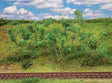 Image for 272-181409 Trees/Shrubs Forest Edge