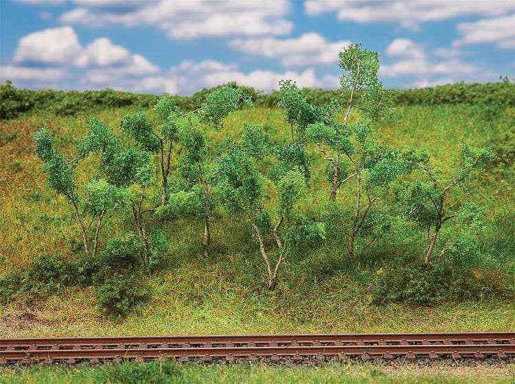 Image for 272-181409 Trees/Shrubs Forest Edge