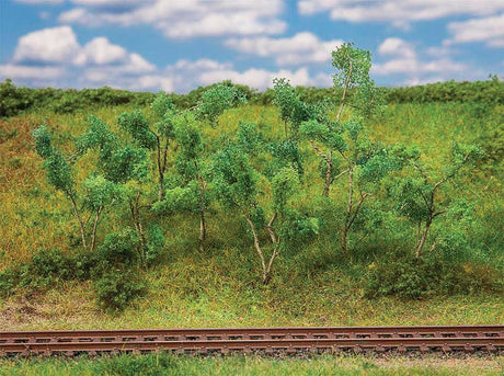 Image for 272-181409 Trees/Shrubs Forest Edge