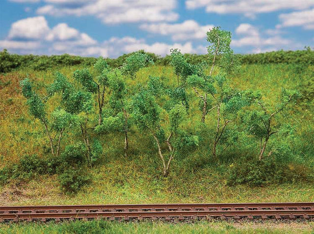 Image for 272-181409 Trees/Shrubs Forest Edge