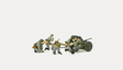 Image for 590-16591 3.7cm PAK L/45 w/Gunners