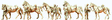 Image for 590-16607 German Clvry w/Horse 10/