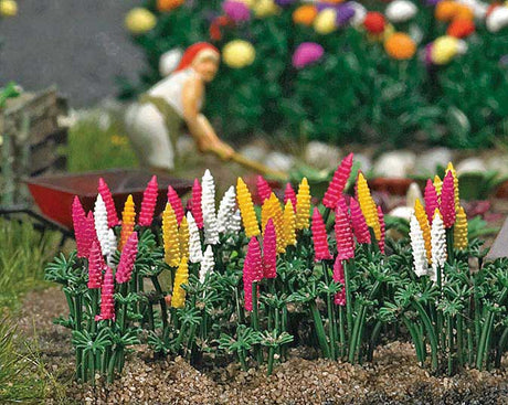Image for 189-9793 Garden Lupins