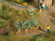 Image for 528-13222 Leek
