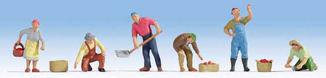Image for 528-15613 Harvesters w/Accssrs 6/