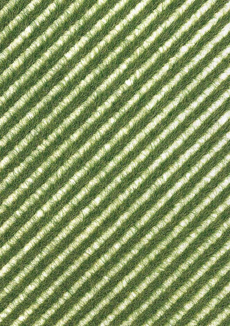 Image for 189-1342 Grass Strips Verge/Spring