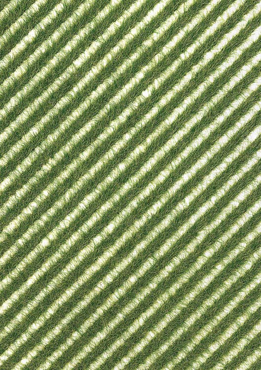 Image for 189-1342 Grass Strips Verge/Spring
