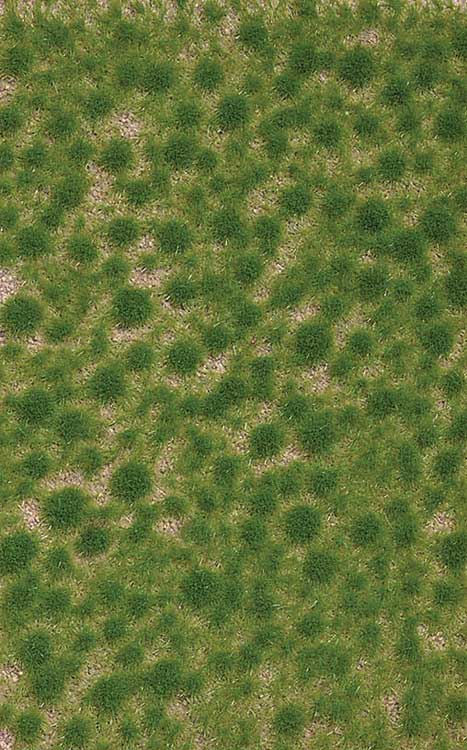 Image for 189-3511 Grass Tufts Spring Short