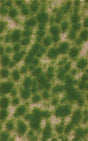 Image for 189-3516 Grass Tufts, Spring Long