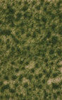 Image for 189-3518 Grass Tufts,Lt Summer Lng