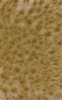 Image for 189-3519 Grass Tufts, Fall Long
