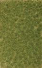 Image for 189-3531 Grass Tufts, 2 Clr Spring
