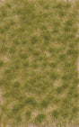 Image for 189-3533 Grass Tufts,2 Clr Lt Smmr