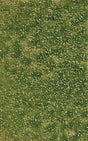 Image for 189-3541 Weed Tufts, Spring