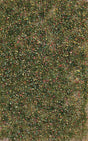 Image for 189-3543 Weed Tufts,Late Summer