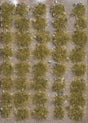 Image for 189-3554 Shrt Tft w/Stns Fall 40/