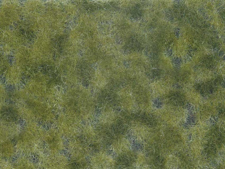 Image for 528-7250 Groundcover Medium Green