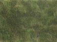 Image for 528-7251 Groundcover Olive Green
