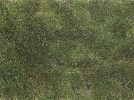 Image for 528-7251 Groundcover Olive Green