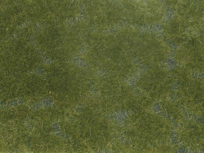 Image for 528-7252 Groundcover Dark Green