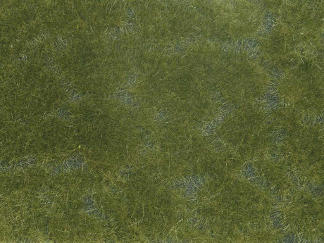 Image for 528-7252 Groundcover Dark Green
