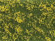 Image for 528-7255 Groundcover Meadow Yello
