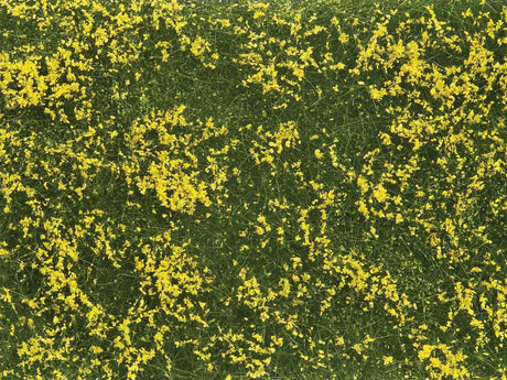Image for 528-7255 Groundcover Meadow Yello