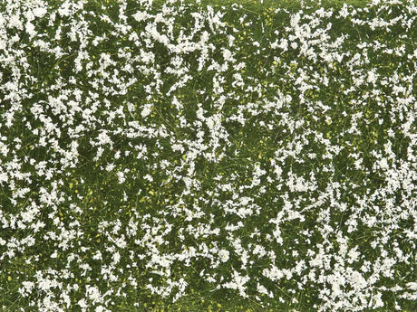Image for 528-7256 Groundcover Meadow White