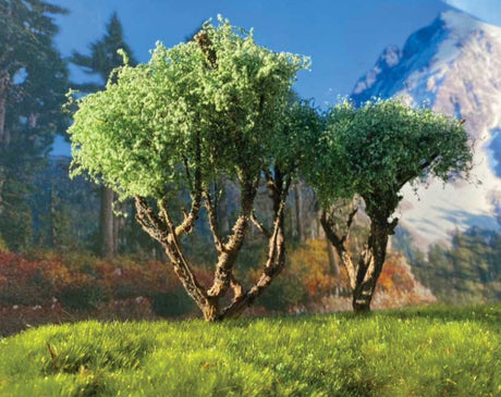 Image for 295-T28 Hardwood Tree Small 3/