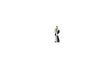 Image for 528-10414 Harlequin