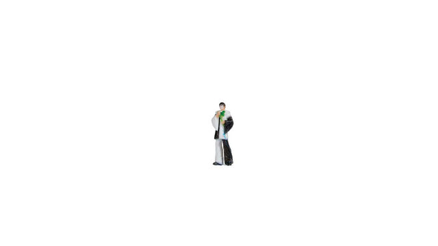 Image for 528-10414 Harlequin